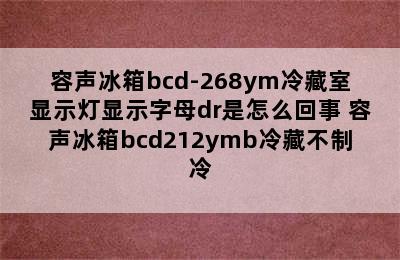 容声冰箱bcd-268ym冷藏室显示灯显示字母dr是怎么回事 容声冰箱bcd212ymb冷藏不制冷